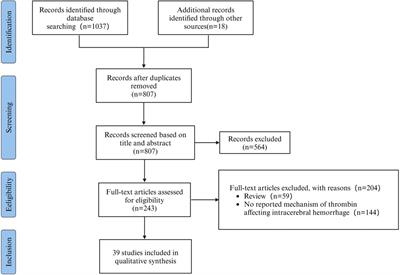 Pathological mechanisms and future therapeutic directions of thrombin in intracerebral hemorrhage: a systematic review